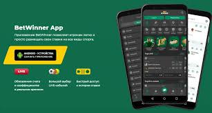 Understanding BetWinner Terms and Conditions