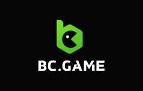 Understanding the License of BC.Game What Players Need to Know